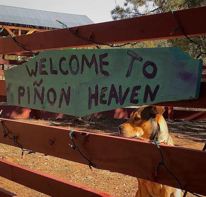 לינה וארוחת בוקר Canada de los Alamos Pet Friendly Pinon Heaven מראה חיצוני תמונה