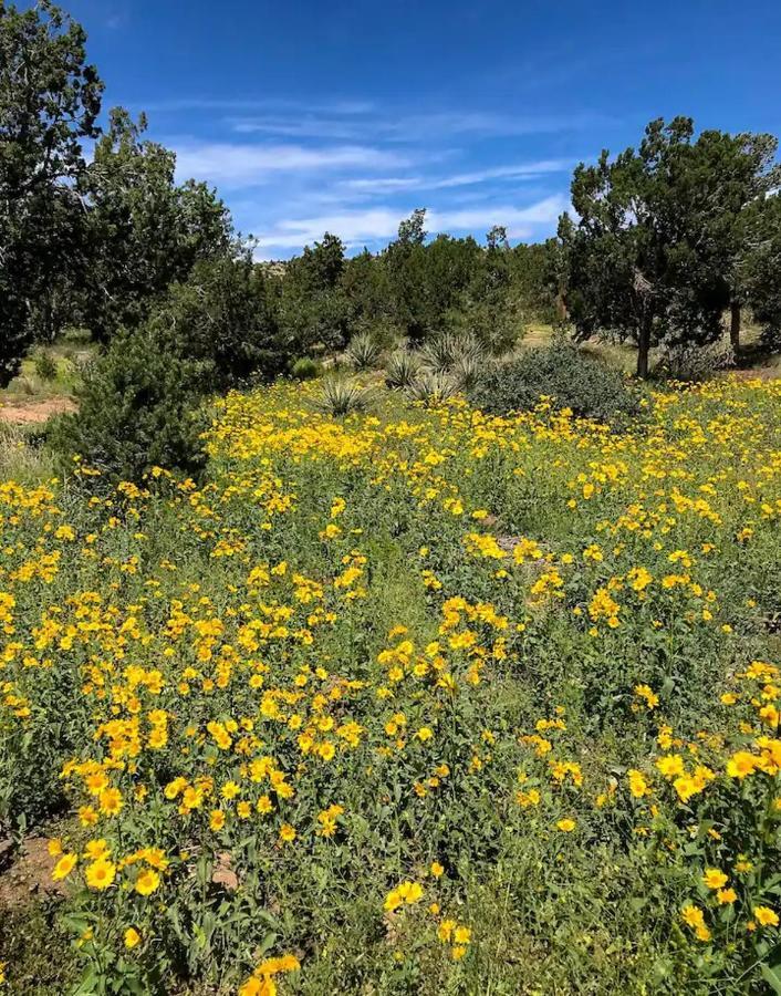לינה וארוחת בוקר Canada de los Alamos Pet Friendly Pinon Heaven מראה חיצוני תמונה